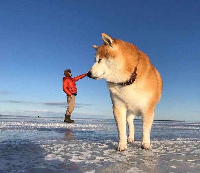 Daily Picdump