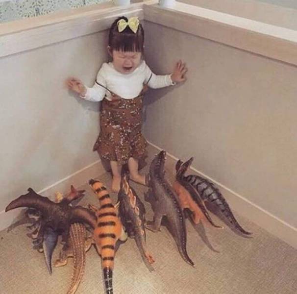 Daily Picdump