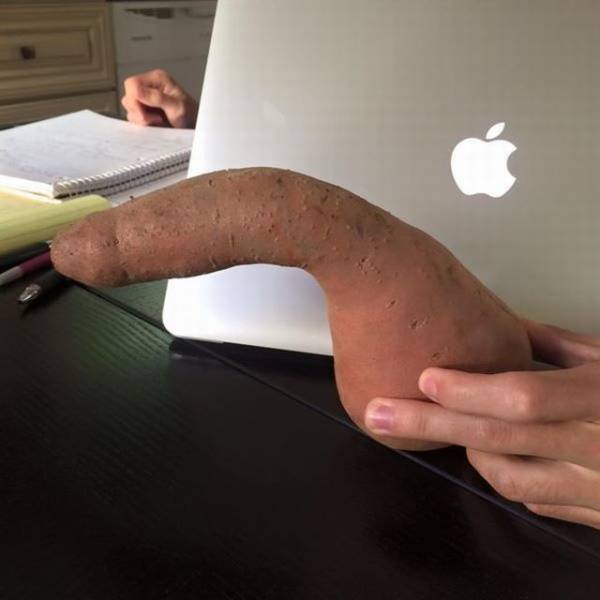 Content Image