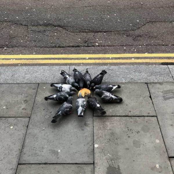 Content Image