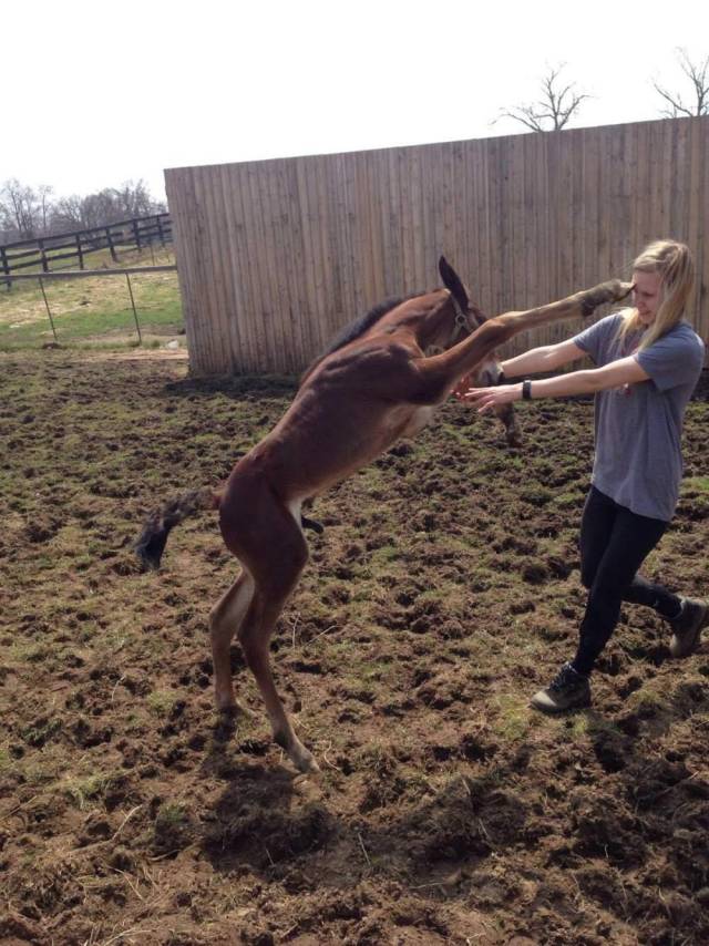 Daily Picdump