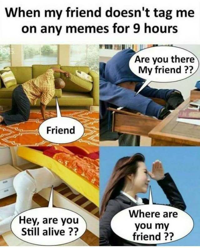 Content Image