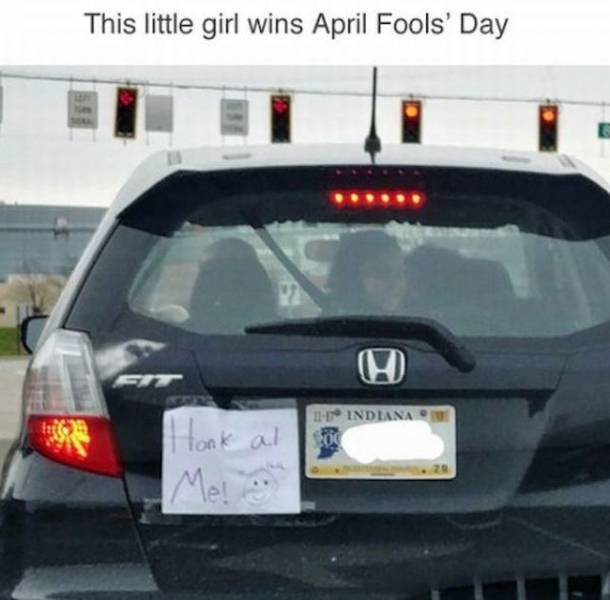 Daily Picdump