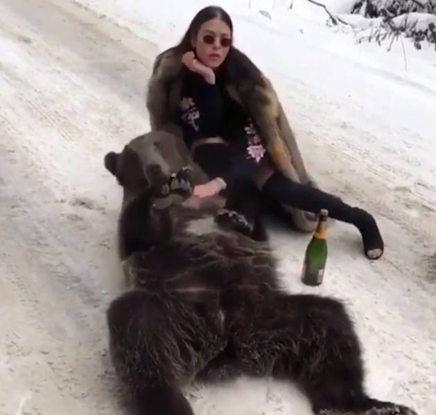Daily Picdump