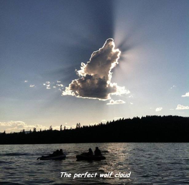 Content Image