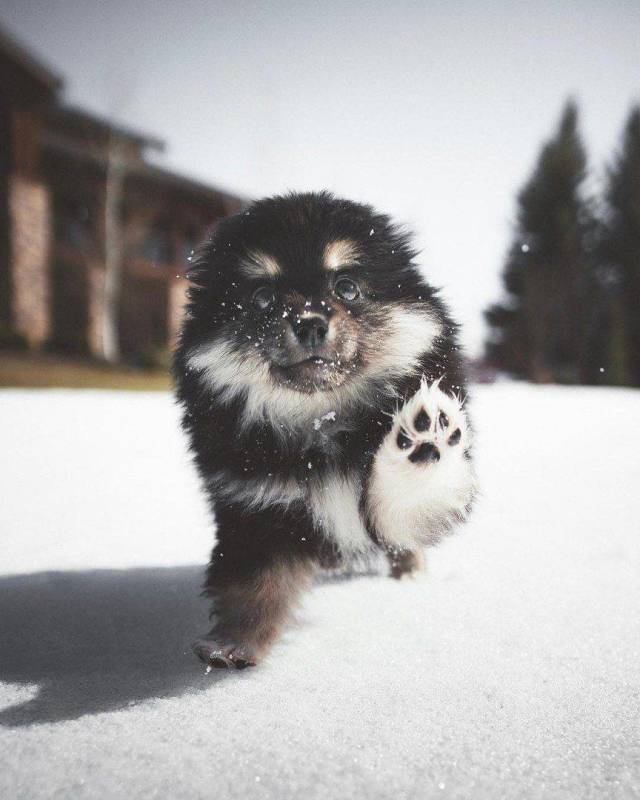 Daily Picdump
