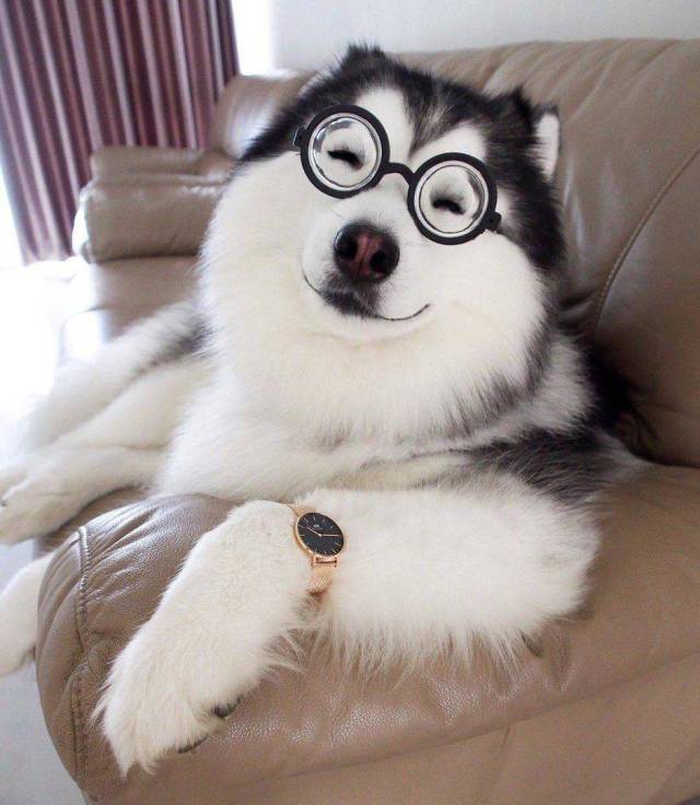 Daily Picdump