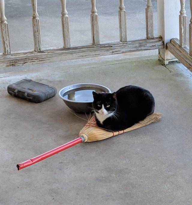 Content Image