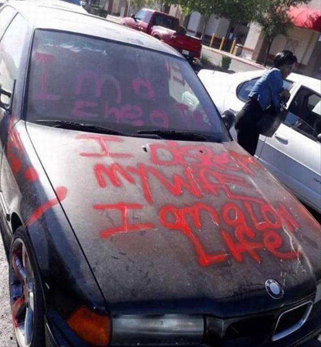 Content Image