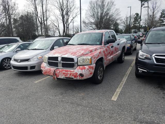 Morning Picdump