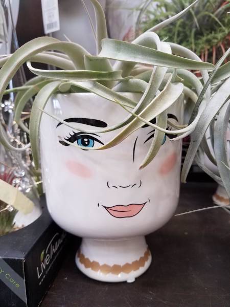 Content Image