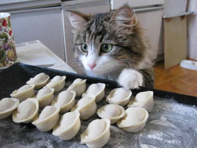 Content Image