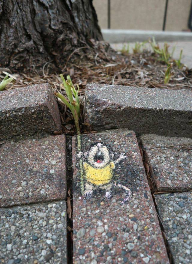 Daily Picdump