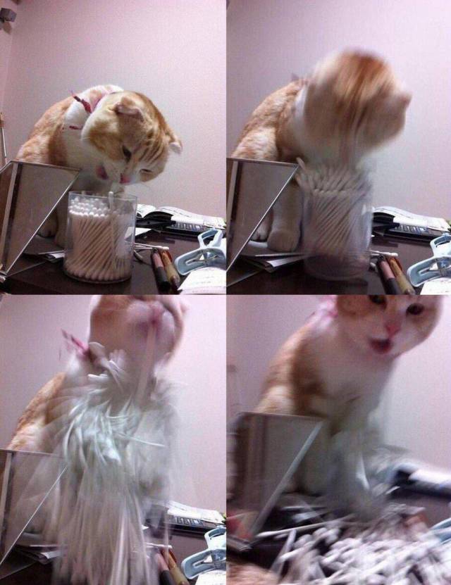 Content Image
