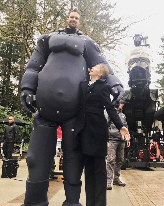 Content Image