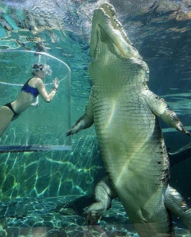 Content Image