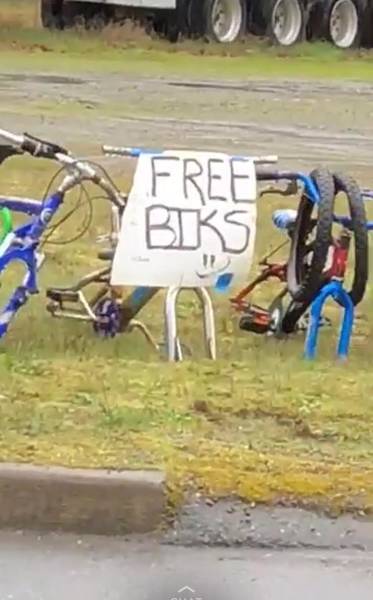 Morning Picdump
