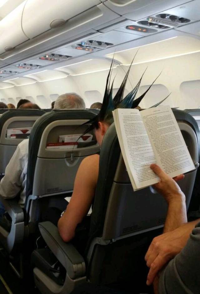 Morning Picdump