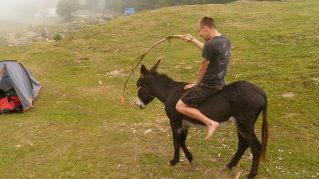 Content Image