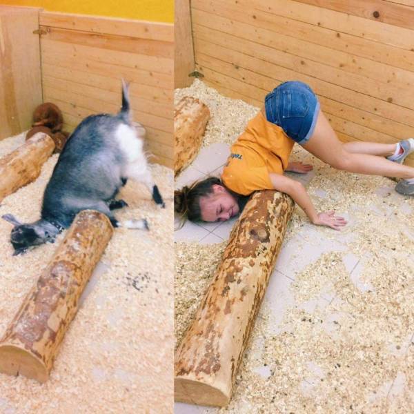 Daily Picdump