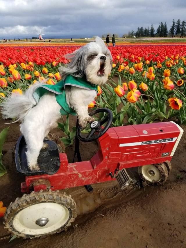 Daily Picdump