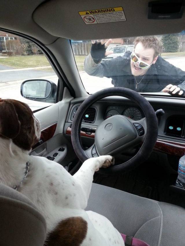 Daily Picdump