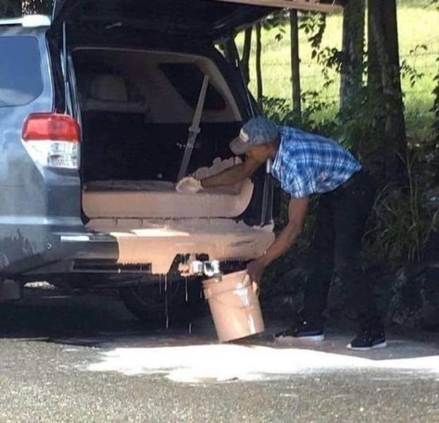 Content Image