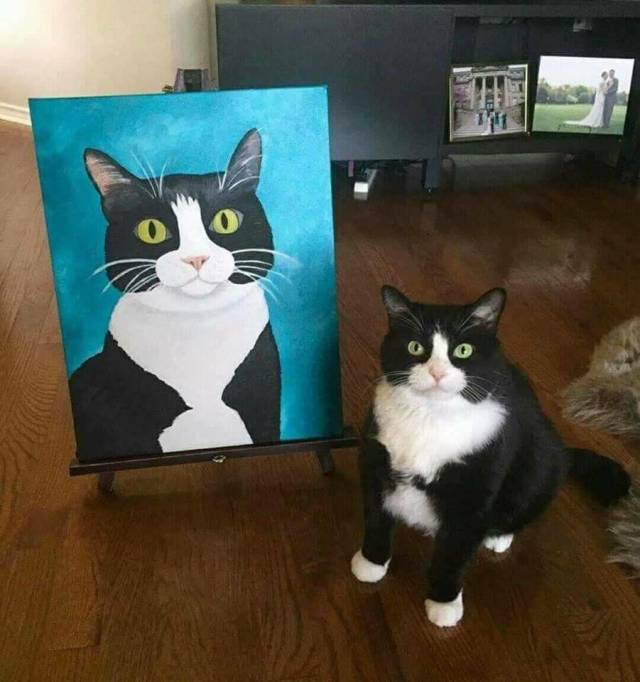 Daily Picdump
