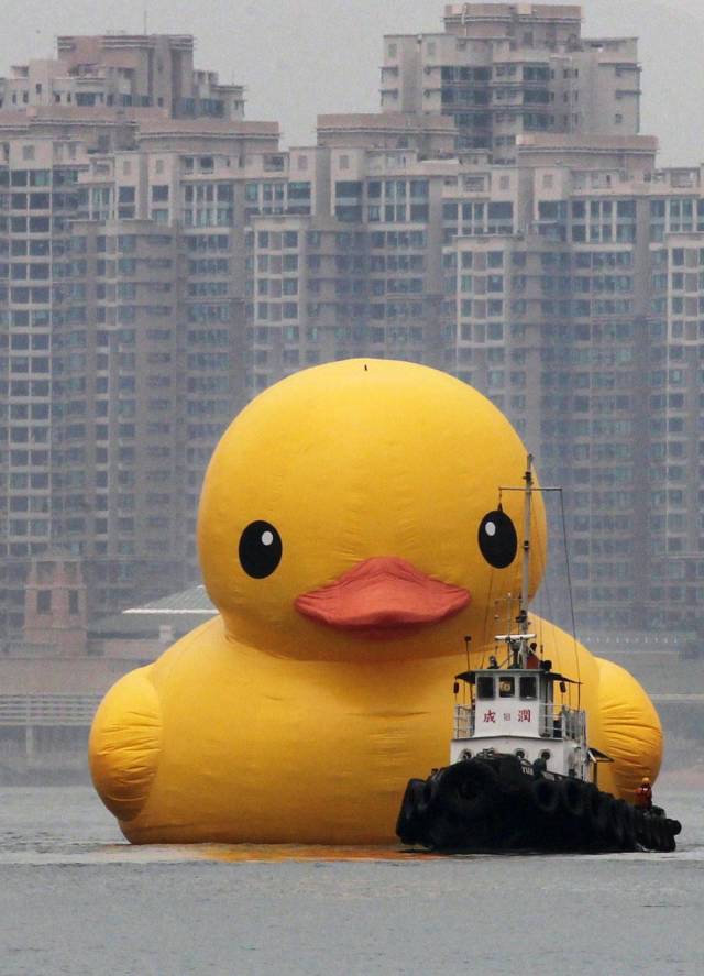Content Image