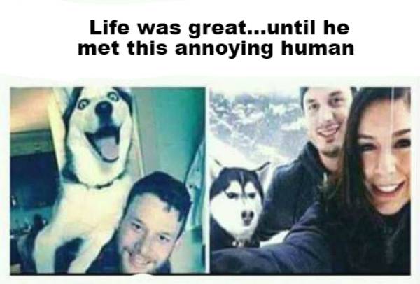Content Image