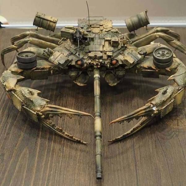Content Image