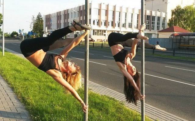 Daily Picdump