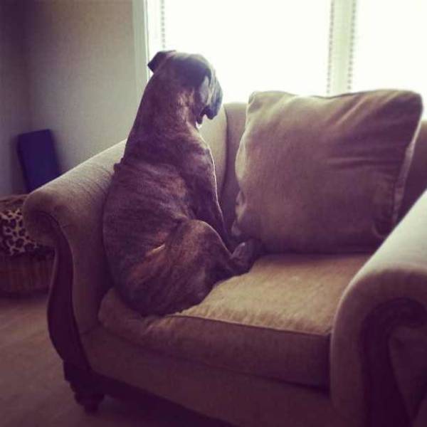 Content Image