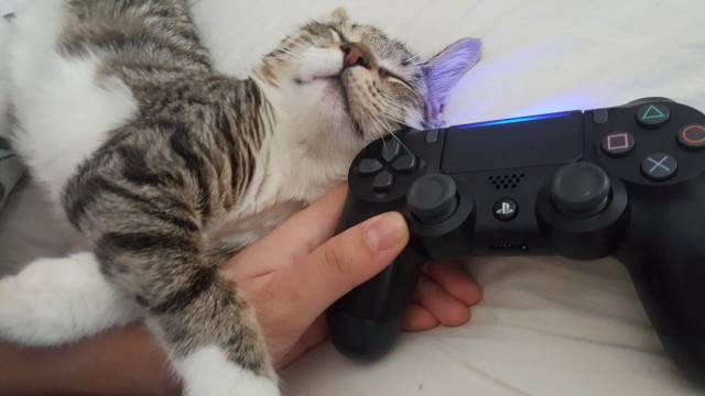 Daily Picdump