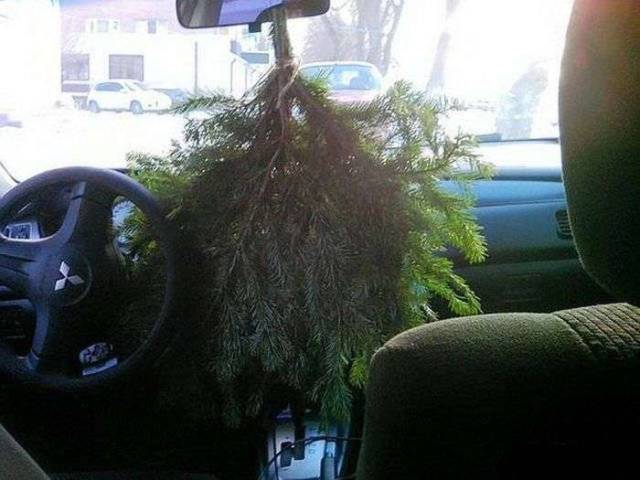 Content Image