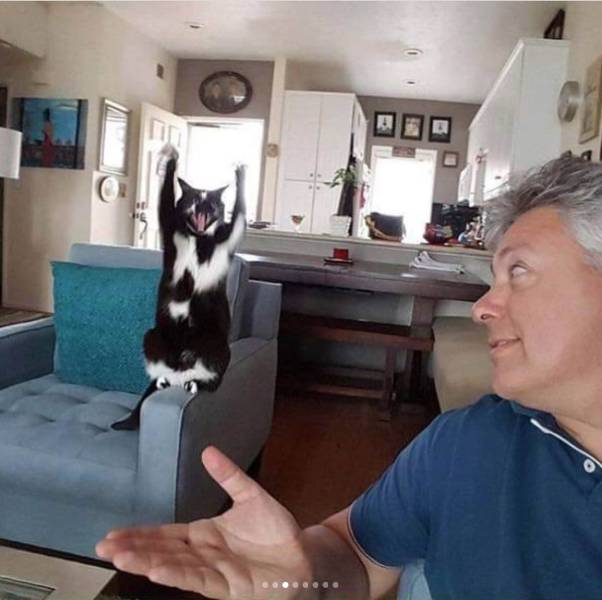 Daily Picdump