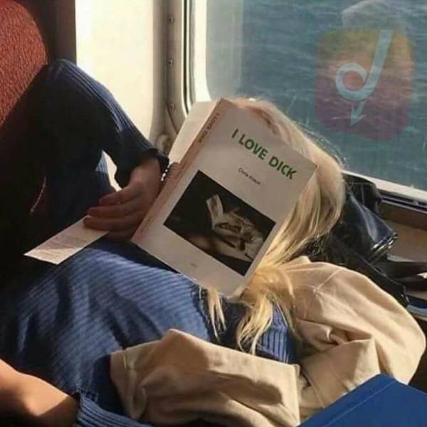 Daily Picdump