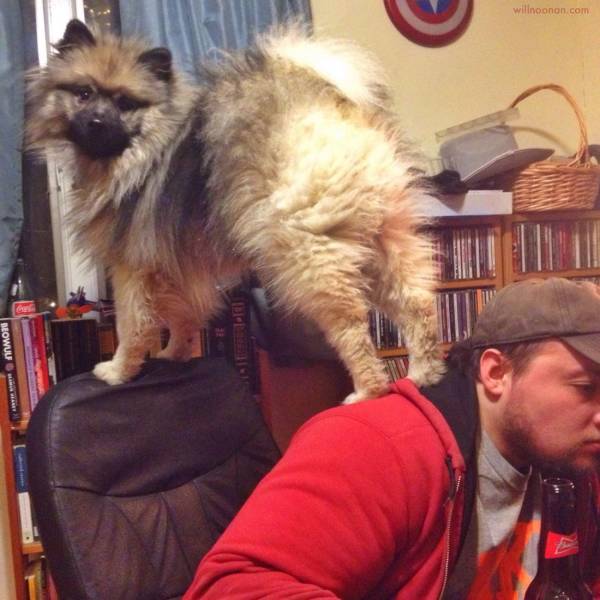 Daily Picdump