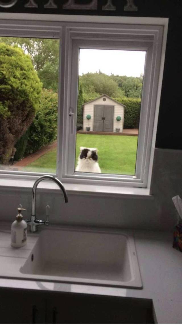 Daily Picdump