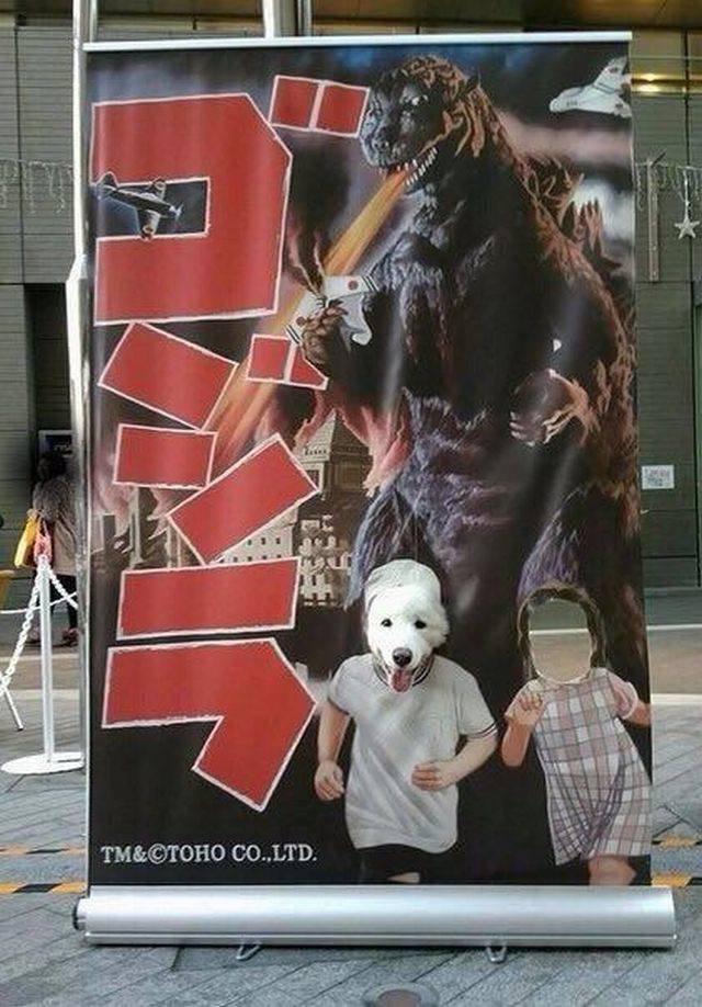 Daily Picdump