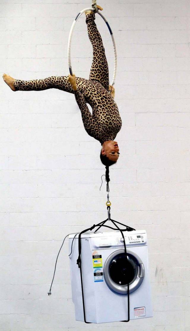 Daily Picdump