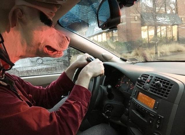 Morning Picdump
