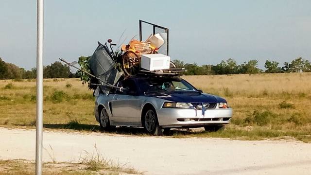 Morning Picdump