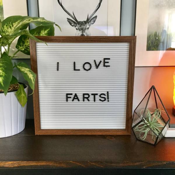Morning Picdump