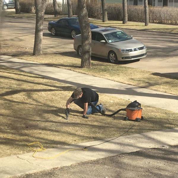 Content Image