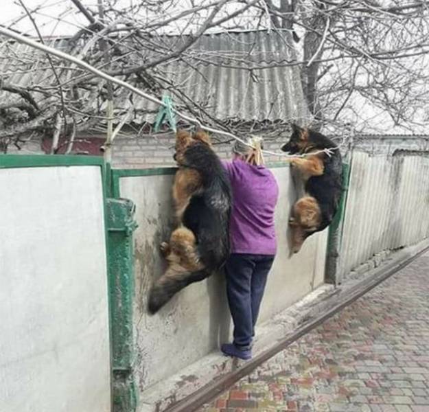 Daily Picdump