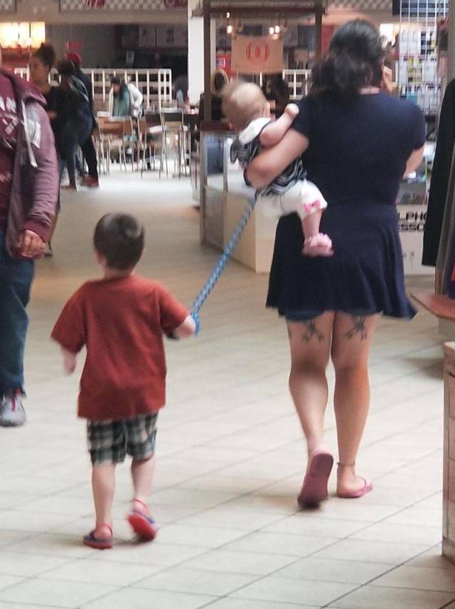 Daily Picdump