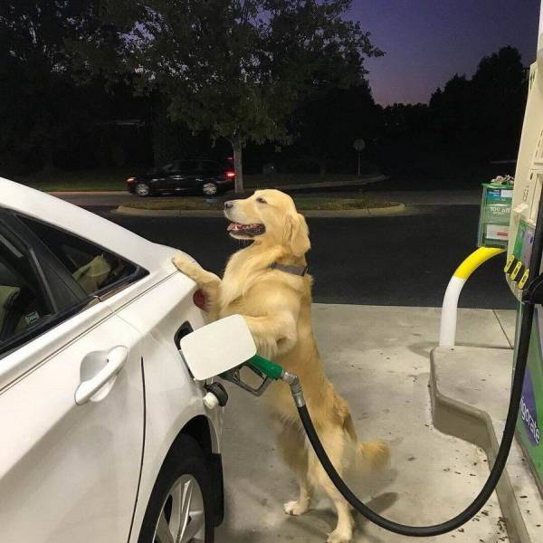 Content Image