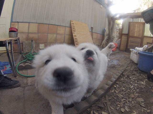 Content Image