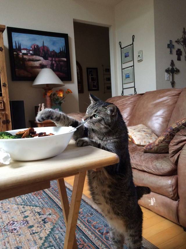Daily Picdump